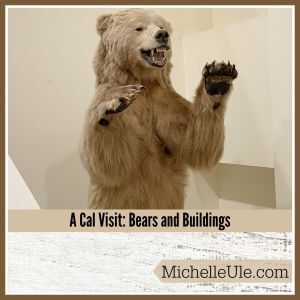 A Cal visit means seeing golden bears