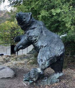 Cal bear statute