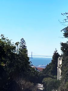 Golden Gate Bridge spied during a Cal Visit.