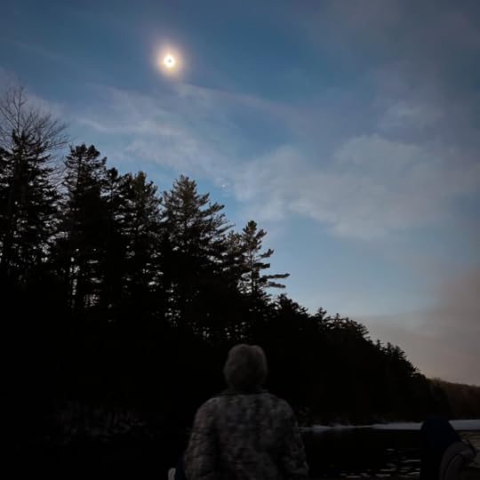 the eclipse framed by trees with a person looking up barely visible in the darkness