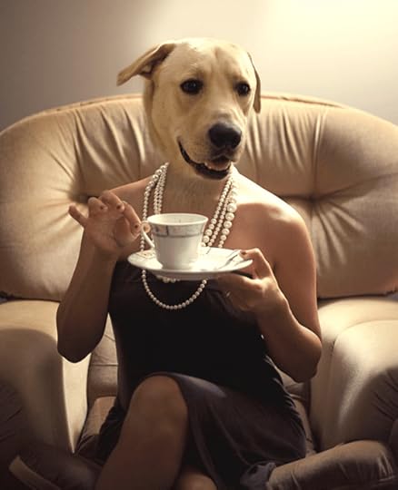 Woman photoshopped her own dog's head onto her body : r/Weird