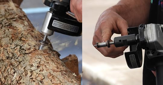 Drilling holes in a mushroom log with an angle grinder