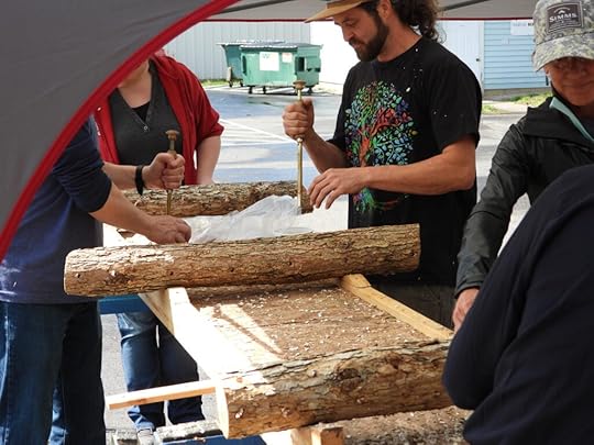 Inoculating a mushroom log
