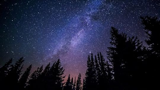 The Milky Way above pine trees, the night sky