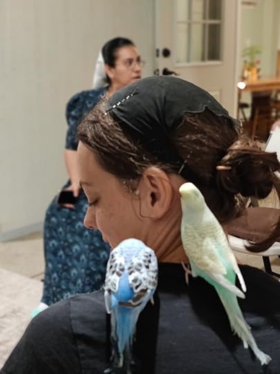 99a294aa-37fd-40d7-8a1a-edabddbb6cc7-1