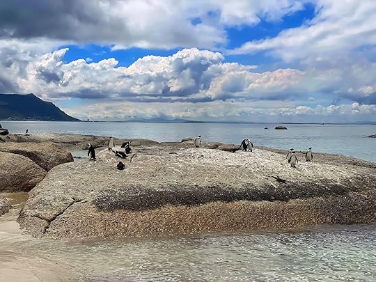 big cruise ship capetown penguin colony