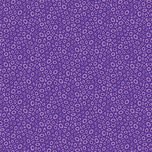 NEW! Transparency Fabric Collection by Modern Quilt Studio for Benartex Available at ShopNZP.com