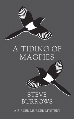 Greyscale book cover featuring two black and white birds in flight.