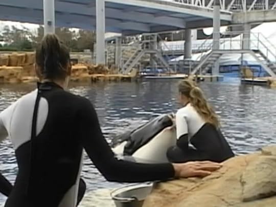 tdy-morales-whale-100325