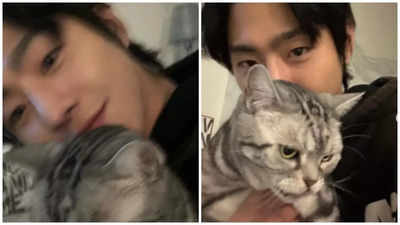 Ahn Hyo-seop embraces Christmas spirit with his furry friend Ba-ul: See pics - Times of India