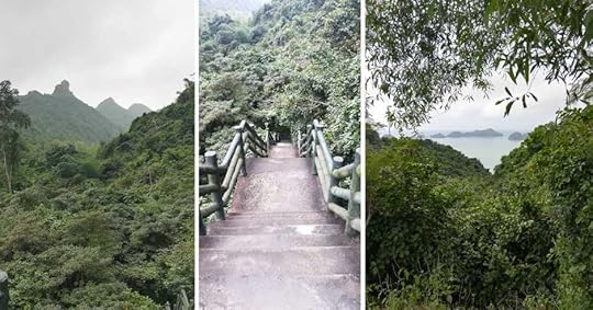 TRUNG TRANG CAVE ENTRANCE STEPS