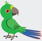 Perroquet