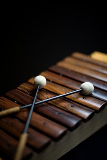 A highly polished wooden xylophone with two white tipped mallets laying on top.