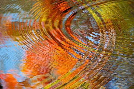Ripples