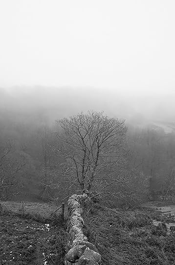 Sam Contis, <em>Untitled (from the series Overpass)</em>, 2020-2022<br><br />Courtesy the artist”>		</div>		<div class=