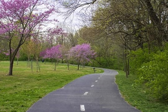 curving paved road through spring green grass and trees, with magnolia trees budding in the distance.