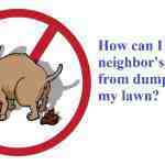 stop dog pooping in yard