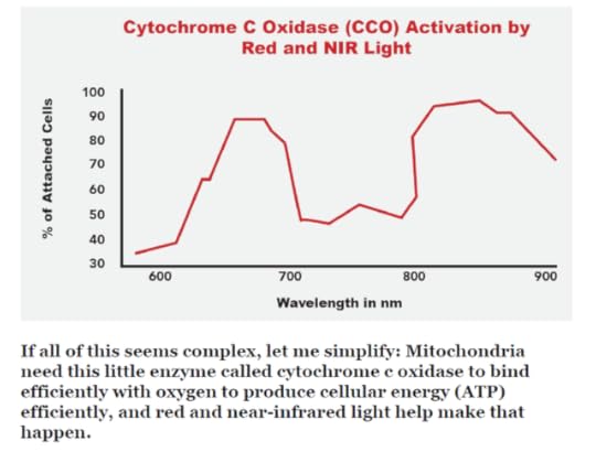 Screenshot-2024-04-26-152945