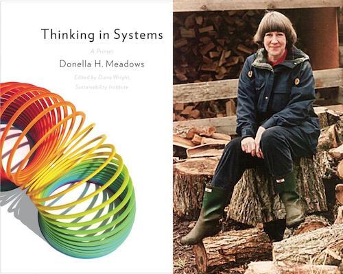 Thinking in Systems by Donella H. Meadows