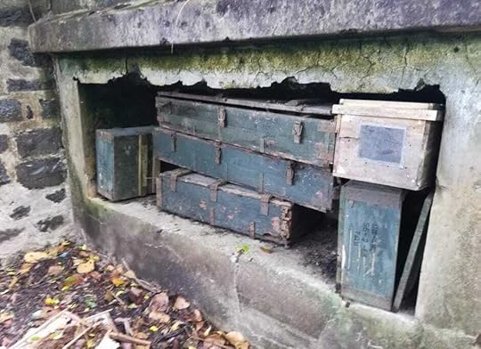 Cannon Fort military remnants 