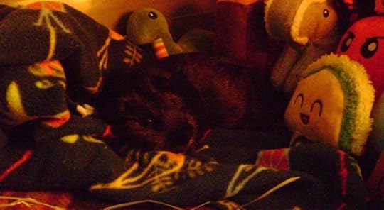 Rachel E Smith guinea pig Salem