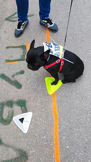 Поредица от новости в традиционното състезание Мини Байк и Рън за Чепън