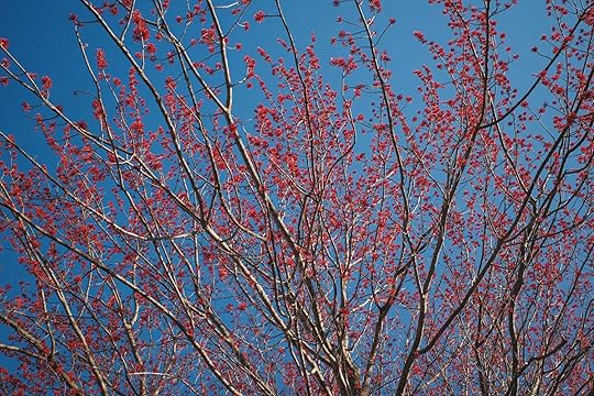 #420: April Odds and Ends