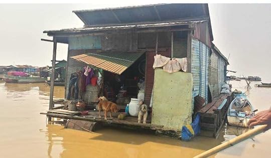 I was fascinated to see floating wooden houses with dogs sitting on porches.
