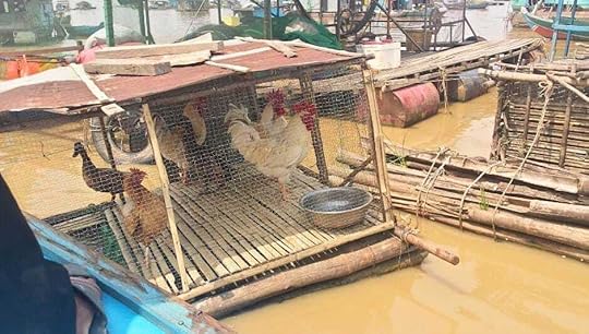 There were floating animal crates and chickens in pens attached to floating houses.