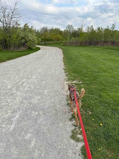 On the trail to dog beach