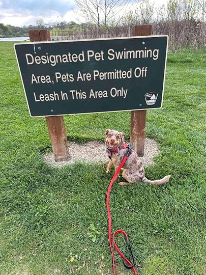 Sign for dog beach