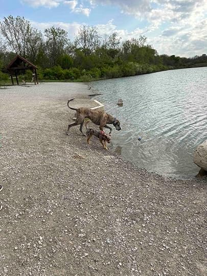 Sunny and Zane at dog beach