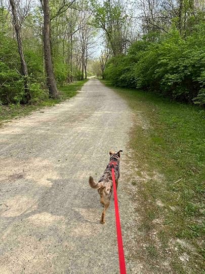 on the Darby Creek Trail at Prairie Oak Metro Park