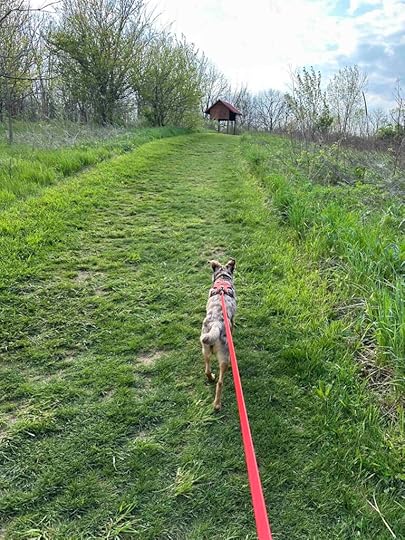 on the Mound Trail at Prairie Oak Metro Park
