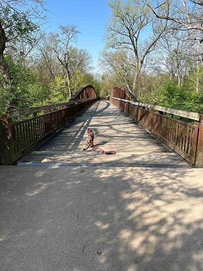 bridge over Darby Creek