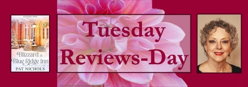 042324 - blizzard at blue ridge inn - tuesday reviews day banner