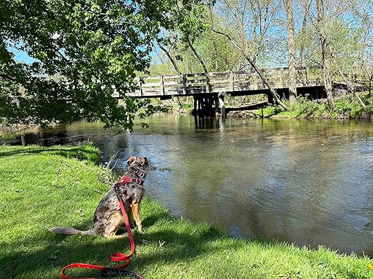 Bridge over Little Elkhart River at Bonneyville Mill County Park