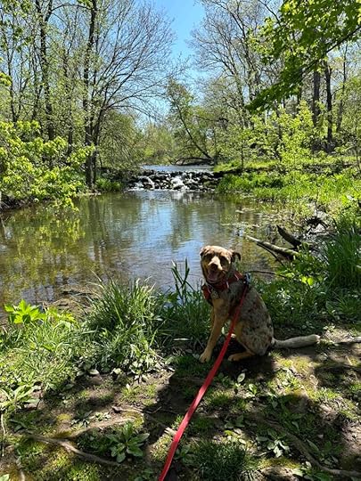 waterfall at Bonneyville Mill county Park