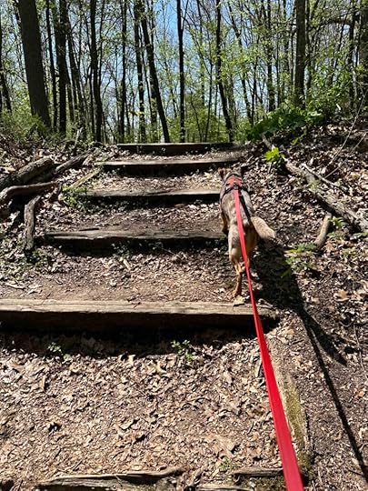 up to the Valley Line shelter
