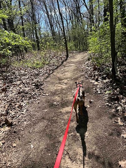 on the mountain bike trail at Bonneyville Mill County Park