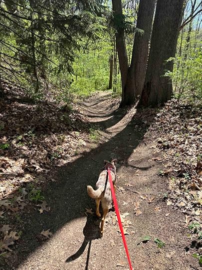 on the mountain bike trail