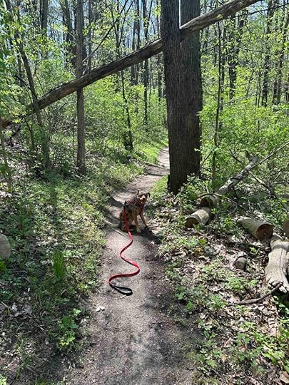on the mountain bike trail