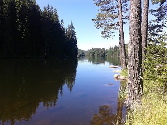 Язовир Широка поляна