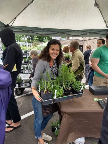 Woman holding a tray of native plants at a plant sale.
