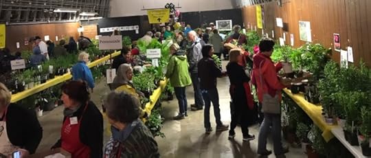 Indoor plant sale