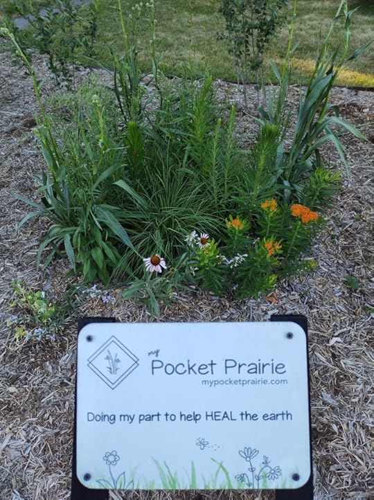 Native wildflower garden planting a