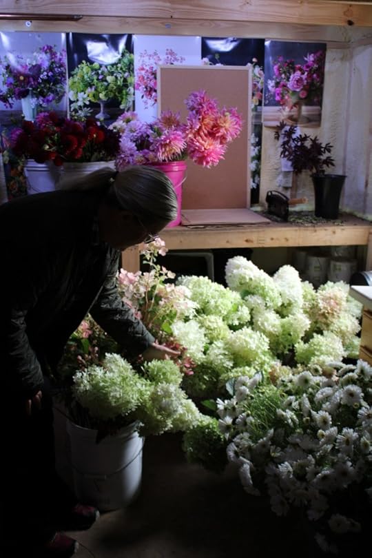 Flower farmer inspecting freshly cut flowers in the cold storage area