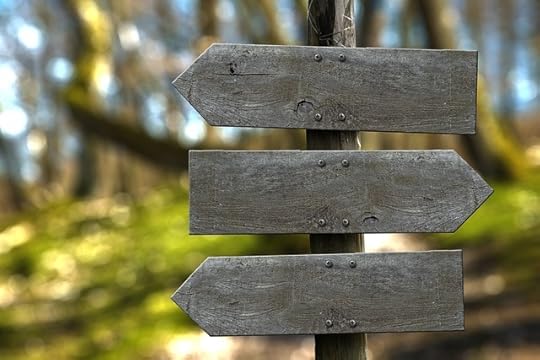 Blank weathered wooden signs pointing in opposite directions against an out of focus forest
