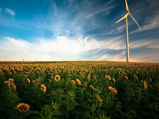 sunflower field -- spirituality blog