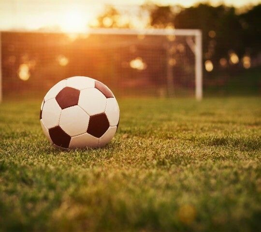 939b0185b80c66308e583aae35183d70